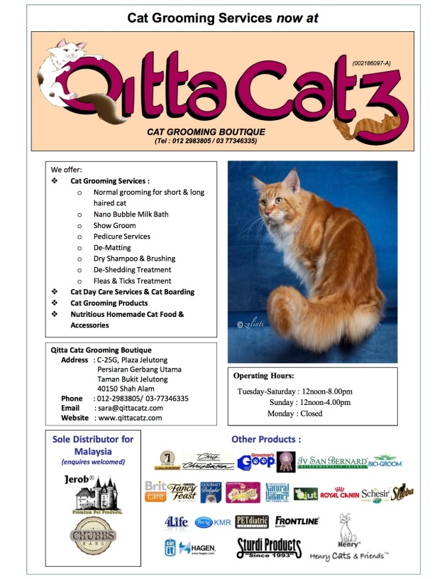 Qitta Catz A4 Flyer copy